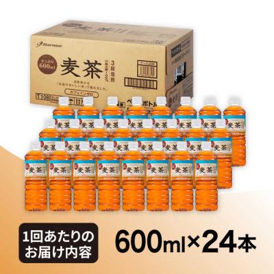 ふるさと納税 糸島市 【全6回定期便】麦茶600ml×24本 スターナイン お茶 ペットボトル[ARM019]の画像