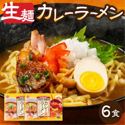 ふるさと納税 下呂市 カレーラーメン 3食(100g×3 スープ付)×2箱 計6食 [丸中製麺所][29-14]