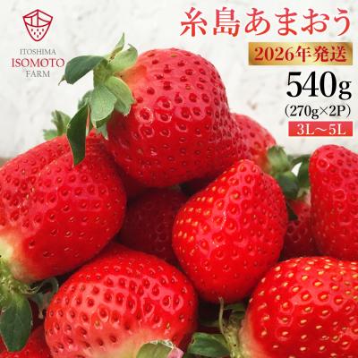 ふるさと納税 糸島市 糸島の美味いあまおう270g×2パック(A品B品含む3L-5L)磯本農園TANNAL