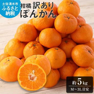 ふるさと納税 土佐清水市 令和9年1月発送 ぽんかん 訳あり5kg 谷川果樹園 柑橘 果物 [R01141]