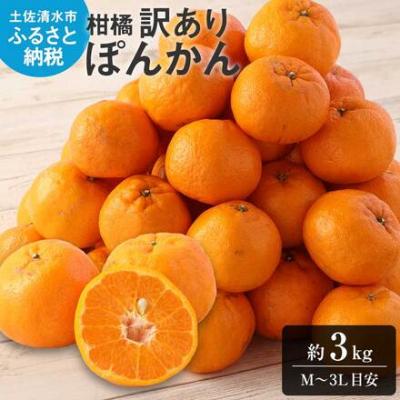 ふるさと納税 土佐清水市 令和9年1月発送 ぽんかん 訳あり 3キロ 谷川果樹園 柑橘 果物 フルーツ[R01603]