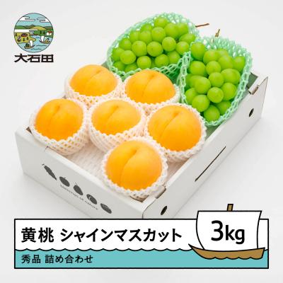 ふるさと納税 大石田町 [先行予約] 黄桃 &amp; シャインマスカット 詰め合わせ 3kg フルーツ 令和8年産 2026年産
