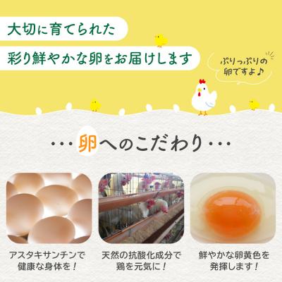 ふるさと納税 角田市 おおえだファーム アスタキサンチン卵(白卵)L