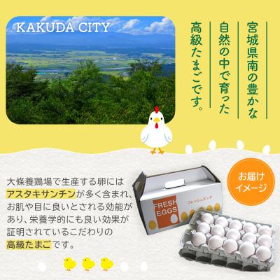 ふるさと納税 角田市 おおえだファーム アスタキサンチン卵(白卵)L