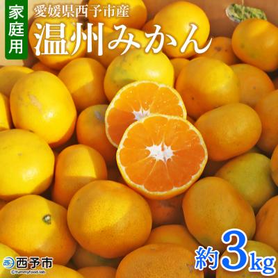 ふるさと納税 西予市 <愛媛県西予市産 温州みかん 家庭用 約3kg > 果物 くだものうんしゅうみかん