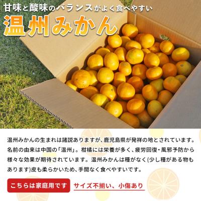 ふるさと納税 西予市 <愛媛県西予市産 温州みかん 家庭用 約3kg > 果物 くだものうんしゅうみかん |  | 01