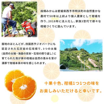 ふるさと納税 西予市 <愛媛県西予市産 温州みかん 家庭用 約3kg > 果物 くだものうんしゅうみかん |  | 02