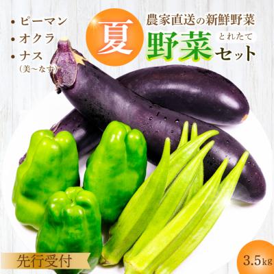 ふるさと納税 三原市 [先行受付]みのる農園 農家直送!夏野菜セット(ナス、ピーマン、オクラ)3.5kg[206-002]