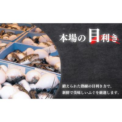 ふるさと納税 下関市 とらふぐ料理セット3人前 冷蔵 KA0002_1