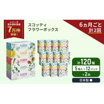 ふるさと納税 岩沼市 定期便 ティッシュ スコッティ120箱 (5箱×12P)《計2回》[No.5704-1130]の画像