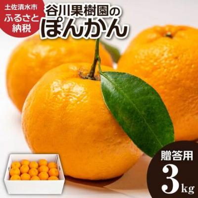 ふるさと納税 土佐清水市 R8年1月発送 ぽんかん3kg 谷川果樹園 柑橘 果物 フルーツ オレンジ みかん[R01376]