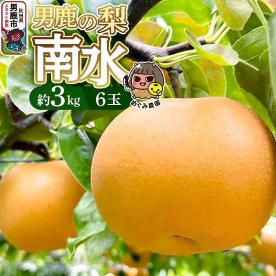ふるさと納税 男鹿市 [先行受付]男鹿の梨 南水 約3kg 6玉 梨 秋田県 男鹿市|23_mgm-020301