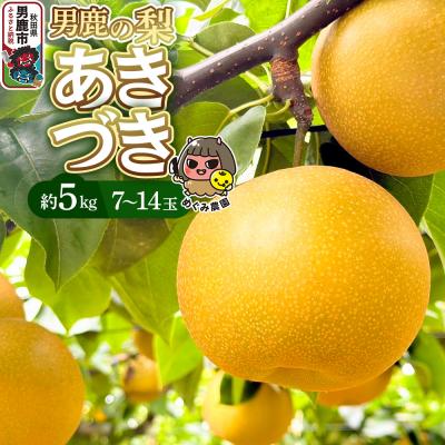 ふるさと納税 男鹿市 [先行受付]男鹿の梨 あきづき 約5kg 7〜14玉 梨 秋田県 男鹿市|23_mgm-030501