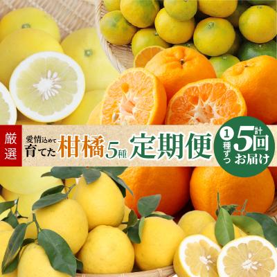 ふるさと納税 天草市 [定期便5回]厳選!天草 下浦地区の農家が愛情込めて育てた柑橘5種