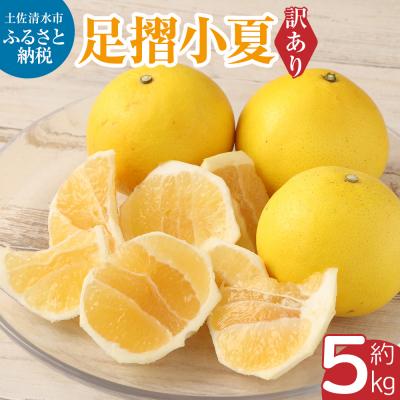 ふるさと納税 土佐清水市 [令和8年発送 訳あり]早川農園の足摺小夏(5kg)みかん 柑橘 果物 フルーツ[R00158]