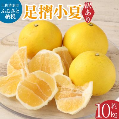 ふるさと納税 土佐清水市 [令和8年発送 訳あり] 早川農園の足摺小夏 10kg みかん 柑橘 フルーツ[R00435]