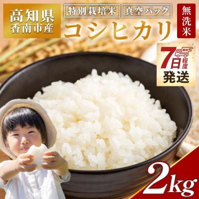 ふるさと納税 香南市 [7日程度で発送]特別栽培米 コシヒカリ 2kg 無洗米 nu-0001