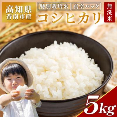 ふるさと納税 香南市 [特別栽培米][無洗米]コシヒカリ 5kg 令和7年産 nu-0002