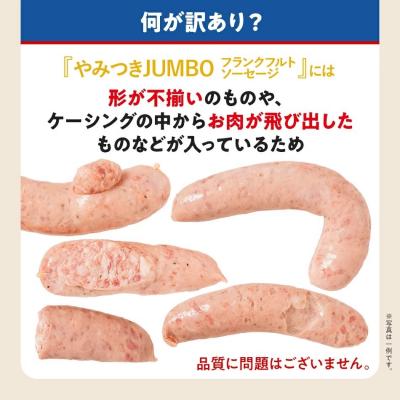 ふるさと納税 古賀市 訳あり!特盛!ソーセージ食べ比べまんぷく福袋 合計4.5kg |  | 02