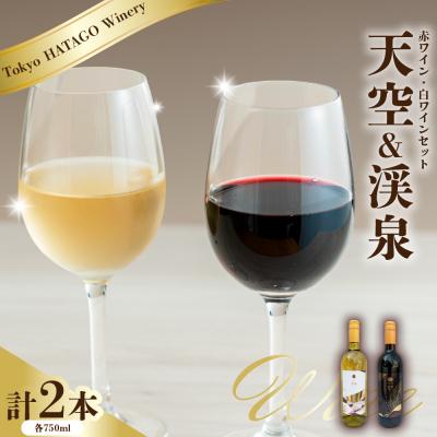ふるさと納税 品川区 Tokyo HATAGO Winery 『天空』&amp; 『渓泉』2本セット 各750ml