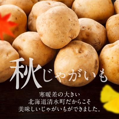 ふるさと納税 清水町 10月より発送開始!ホクホク食感が魅力の「男爵いも」10kg |  | 01