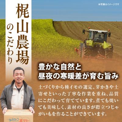 ふるさと納税 清水町 10月より発送開始!ホクホク食感が魅力の「男爵いも」10kg |  | 02