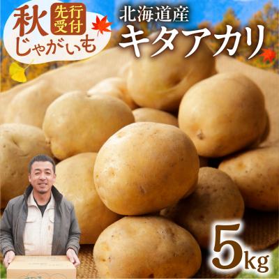 ふるさと納税 清水町 今が旬!すぐ届く!鮮やかな黄色と甘みが特徴の「キタアカリ」5kg