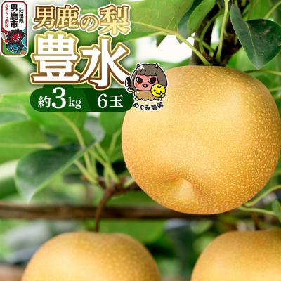 ふるさと納税 男鹿市 [先行受付]男鹿の梨 豊水 約3kg 6玉 梨 秋田県 男鹿市|23_mgm-010301