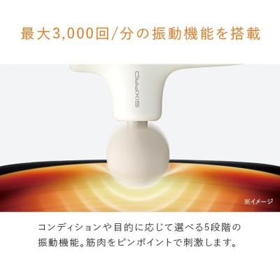 ふるさと納税 名古屋市 SIXPAD Power Gun Active【ブラック】 シックス