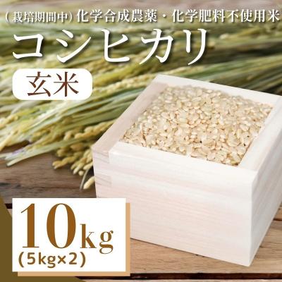 ふるさと納税 小松島市 [令和7年産先行受付]玄米 10kg コシヒカリ 令和7年産 米 こめ ご飯 ごはん
