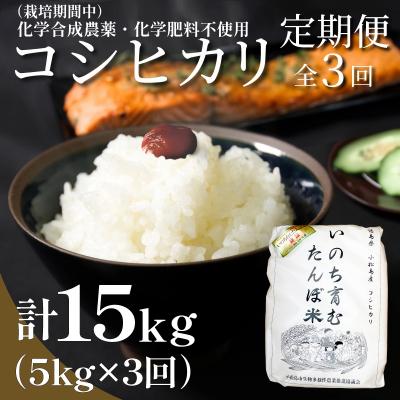 ふるさと納税 小松島市 [令和7年産新米] 定期便 3回 米 コシヒカリ 計15kg 5kg × 3回 白米 お米 おこめ