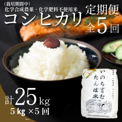 ふるさと納税 小松島市 [令和7年産新米]新米 定期便 5回 米 コシヒカリ 計25kg 5kg × 5回 白米 お米