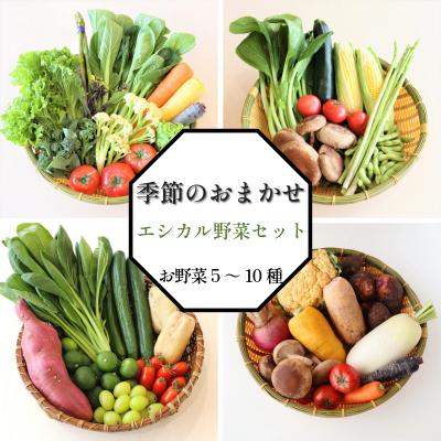 ふるさと納税 小松島市 季節のエシカル野菜詰め合わせセット(5〜10種) 国産 おまかせ 産地直送 小松島産 季節限定