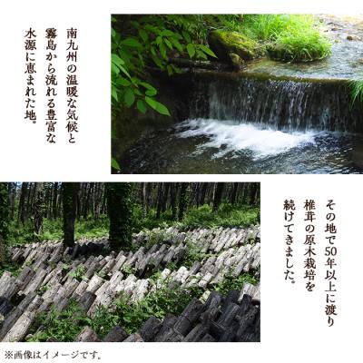 ふるさと納税 曽於市 ギフト用 乾しいたけ (80g)_2