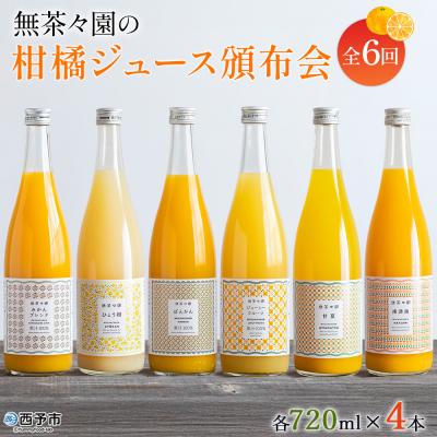 ふるさと納税 西予市 &lt;無茶々園の柑橘ジュース頒布会 全6回&gt; 定期便 みかん オレンジ フルーツ ストレート 果汁100