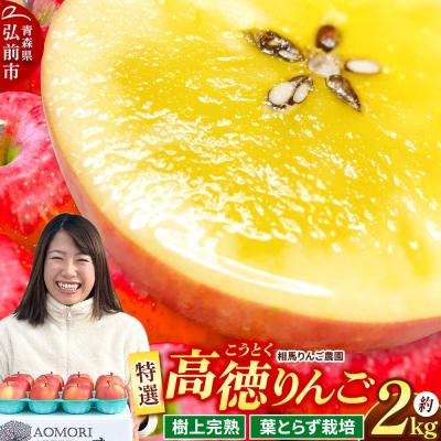 ふるさと納税 弘前市 [26年12月発送]りんご 高徳(こうとく)[特選]約2kg 先行受付|24_srn-070201
