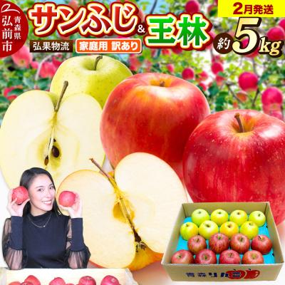 ふるさと納税 弘前市 りんご 2月発送 サンふじ・王林 詰め合わせ 約5kg|24_hkb-060501c