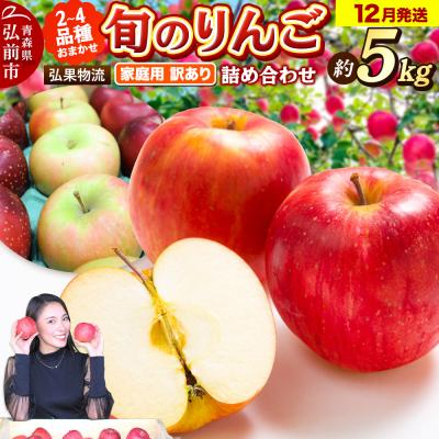 ふるさと納税 弘前市 りんご 12月発送 家庭用 品種おまかせ 約5kg 2品種〜4品種|24_hkb-110501c