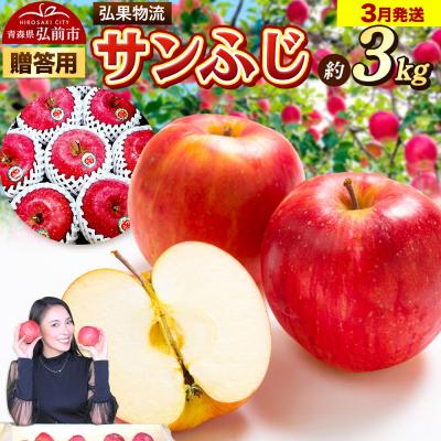 ふるさと納税 弘前市 りんご 3月発送 サンふじ 約3kg|24_hkb-140301d
