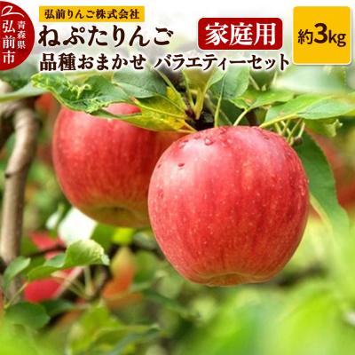 ふるさと納税 弘前市 りんご ねぷたりんご バラエティーセット 家庭用約3kg 品種おまかせ|24_hsr-010301