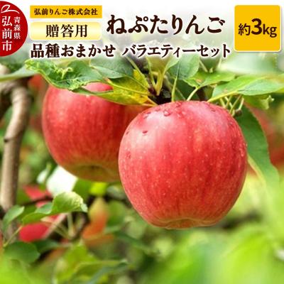 ふるさと納税 弘前市 りんご ねぷたりんご バラエティーセット 贈答用約3kg 品種おまかせ|24_hsr-020301