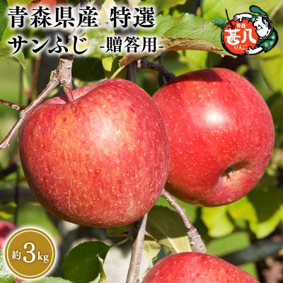 ふるさと納税 平川市 4月発送 特選 甚八りんごサンふじ3kg [マルジンサンアップル]
