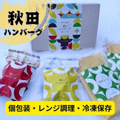 ふるさと納税 湯沢市 穂のハンバーグ&amp;秋田産野菜スープセット[B6-13701]