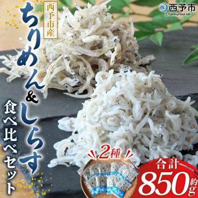 ふるさと納税 西予市 &lt;ちりめん&amp;しらす干し 食べ比べセット&gt; 西予市産 ちりめん しらす干し 食べ比べ 健康 カルシウム
