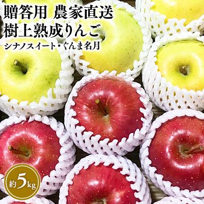 ふるさと納税 平川市 [10〜11月発送]贈答用 樹上熟成りんご シナノスイート・ぐんま名月 約5kg[平川市産]