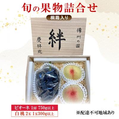 ふるさと納税 赤磐市 ピオーネ (特秀) 1房 750g 白桃 2玉 1玉300g以上 桐箱[NO5765-1271]
