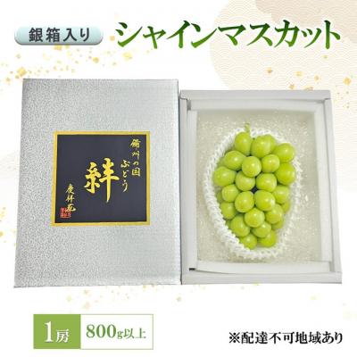 ふるさと納税 赤磐市 ぶどう シャインマスカット(特秀) 1房 800g以上 銀箱入り[NO5765-1276]