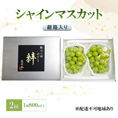 ふるさと納税 赤磐市 シャインマスカット(特秀) 2房 1房800g以上 銀箱入り[NO5765-1277]