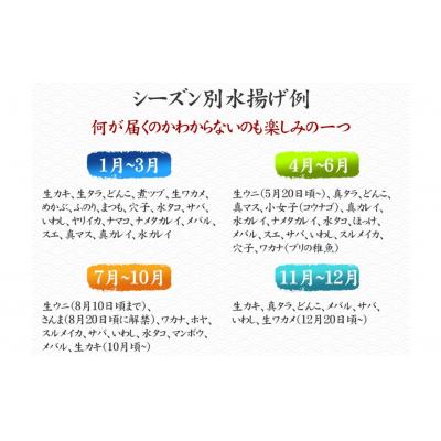 ふるさと納税 陸前高田市 【3ヶ月定期便】三陸海の恵み詰め合わせ 1〜2人用 下処理済 旬 鮮魚 海藻 新鮮 天然 刺身 旬 |  | 02