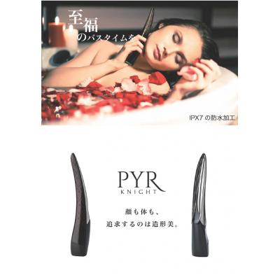 ふるさと納税 甲府市 「造形美」美顔器 LINKS パイラナイトの画像